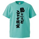 おもしろtシャツ みかん箱 悲しいけどこれが現実 【ギフト プレゼント 面白いtシャツ メンズ 半袖 文字Tシャツ 漢字 雑貨 名言 パロディ おもしろ 全20色 サイズ S M L XL XXL】