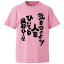 おもしろtシャツ みかん箱 気をつけよう人をひいても風邪ひくな 【ギフト プレゼント 面白いtシャツ メンズ 半袖 文字Tシャツ 漢字 雑貨 名言 パロディ おもしろ 全20色 サイズ S M L XL XXL】