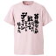 おもしろtシャツ みかん箱 貧乳なんかじゃない、敢えてこういうデザインなんだ。 【ギフト プレゼント 面白いtシャツ メンズ 半袖 文字Tシャツ 漢字 雑貨 名言 パロディ おもしろ 全20色 サイズ S M L XL XXL】 2,180円
