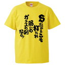 おもしろtシャツ みかん箱 Sだからこそ打たれ弱いのガラスの剣なの! 【ギフト プレゼント 面白いtシャツ メンズ 半袖 文字Tシャツ 漢字 雑貨 名言 パロデ...