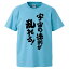 おもしろtシャツ みかん箱 宇宙の法則が乱れる! 【ギフト プレゼント 面白いtシャツ メンズ 半袖 文字Tシャツ 漢字 雑貨 名言 パロディ おもしろ 全20色 サイズ S M L XL XXL】 2,180円