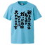 おもしろtシャツ みかん箱 新生児は大体亀か猿かガッツ石松の三つに大別されます 【ギフト プレゼント 面白いtシャツ メンズ 半袖 文字Tシャツ 漢字 雑貨 名言 パロディ おもしろ 全20色 サイズ S M L XL XXL】 2,180円