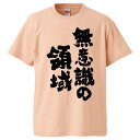 おもしろtシャツ みか