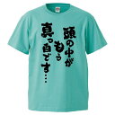 おもしろtシャツ みかん箱 頭の中がもう真っ白です… 【ギフト プレゼント 面白いtシャツ メンズ 半袖 文字Tシャツ 漢字 雑貨 名言 パロディ おもしろ 全20色 サイズ S M L XL XXL】