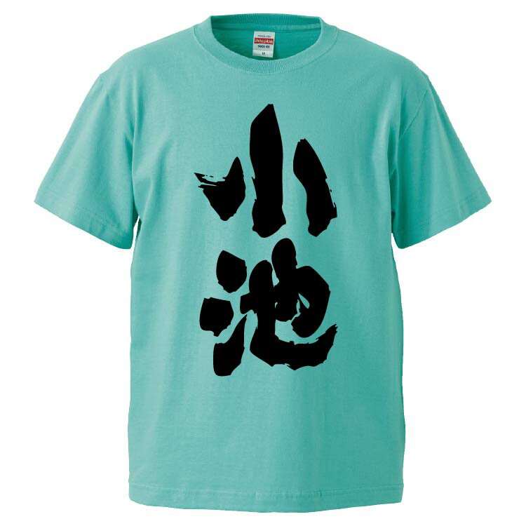 おもしろtシャツ みかん箱 小池 【ギフト プレゼント 面白いtシャツ メンズ 半袖 文字Tシャツ 漢字 雑貨 名言 パロディ おもしろ 全20色 サイズ S M L XL XXL】