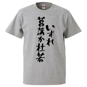 おもしろtシャツ みかん箱 いずれ菖蒲か杜若 【ギフト プレゼント 面白いtシャツ メンズ 半袖 文字Tシャツ 漢字 雑貨 名言 パロディ おもしろ 全20色 サイズ S M L XL XXL】