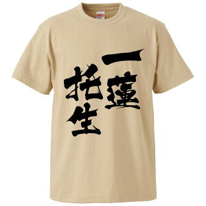 おもしろtシャツ みかん箱 一蓮托生 【ギフト プレゼント 面白いtシャツ メンズ 半袖 文字Tシャツ 漢字 雑貨 名言 パロディ おもしろ 全20色 サイズ S M L XL XXL】