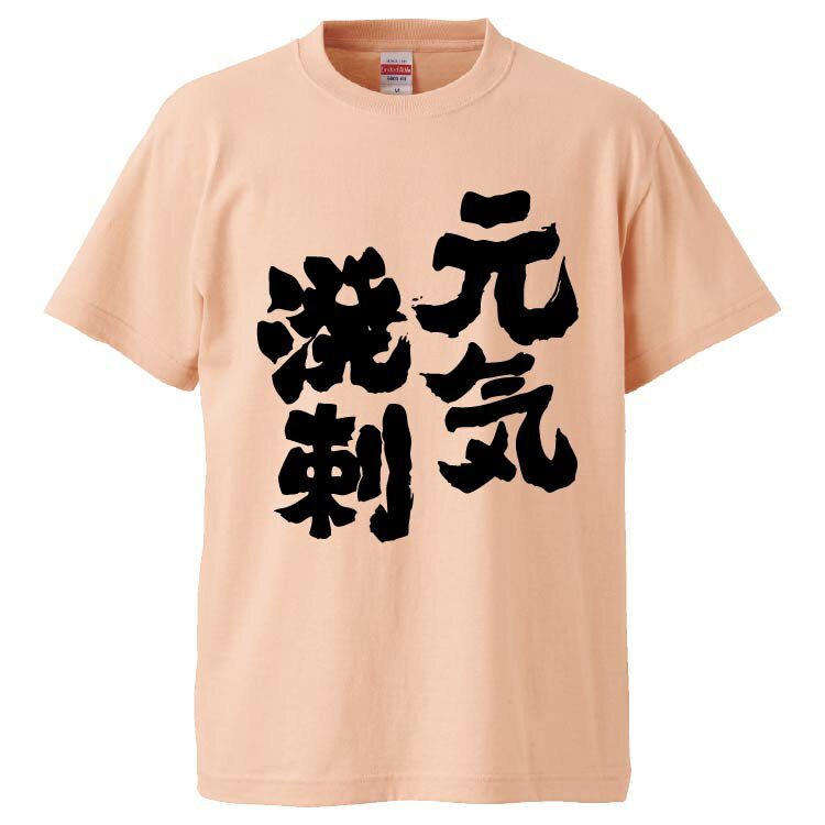 おもしろtシャツ みかん箱 元気溌剌 【ギフト プレゼント 面白いtシャツ メンズ 半袖 文字Tシャツ 漢字 雑貨 名言 パロディ おもしろ 全20色 サイズ S M L XL XXL】