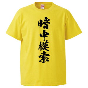 おもしろtシャツ みかん箱 暗中模索 【ギフト プレゼント 面白いtシャツ メンズ 半袖 文字Tシャツ 漢字 雑貨 名言 パロディ おもしろ 全20色 サイズ S M L XL XXL】