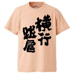 おもしろtシャツ みかん箱 横行跋扈 【ギフト プレゼント 面白いtシャツ メンズ 半袖 文字Tシャツ 漢字 雑貨 名言 パロディ おもしろ 全20色 サイズ S M L XL XXL】