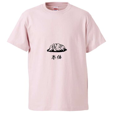 おもしろtシャツ みかん箱 カツラ本体 【ギフト プレゼント 面白いtシャツ メンズ 半袖 文字Tシャツ 漢字 雑貨 名言 パロディ おもしろ 全20色 サイズ S M L XL XXL】