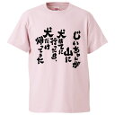 おもしろtシャツ みかん箱 じいちゃんが山に犬捨てに行ったら 犬だけ帰ってきた 【ギフト プレゼント 面白いtシャツ メンズ 半袖 文字Tシャツ 漢字 雑貨 名言 パロディ おもしろ 全20色 サイズ S M L XL XXL】