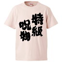 おもしろtシャツ みかん箱 特級呪物 【ギフト プレゼント 面白いtシャツ メンズ 半袖 文字Tシャツ 漢字 雑貨 名言 パロディ おもしろ 全20色 サイズ S M L XL XXL】