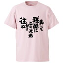 おもしろtシャツ みか