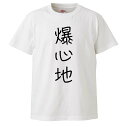 おもしろTシャツ 爆心地 ギフト プレゼント 面白 メンズ 半袖 無地 漢字 雑貨 名言 パロディ 文字