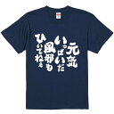 おもしろTシャツ みかん箱 【元気いっぱいだ風邪もひいてねぇ】 濃色 綿生地 半袖 メンズ レディース 男女兼用 名言 語録