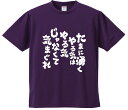 おもしろTシャツ みかん箱 【たまに湧くやる気はやる気じゃなくて気まぐれ】 ドライ生地 ポリエステル 文字Tシャツ プレゼント ふざけtシャツ 格言 名言 語録
