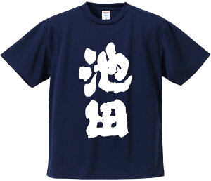 おもしろTシャツ みかん箱 【池田】 ドライ生地 ポリエステル 文字Tシャツ プレゼント ふざけtシャツ 格言 名言 語録