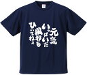 おもしろTシャツ みかん箱 【元気いっぱいだ風邪もひいてねぇ】 ドライ生地 ポリエステル 文字Tシャツ プレゼント ふざけtシャツ 格言 名言 語録