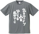 おもしろTシャツ みかん箱 【気をつけよう人をひいても風邪ひくな】 ドライ生地 ポリエステル 文字Tシャツ プレゼント ふざけtシャツ 格言 名言 語録