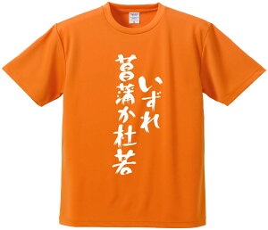おもしろTシャツ みかん箱 【いずれ菖蒲か杜若】 ドライ生地 ポリエステル 文字Tシャツ プレゼント ふざけtシャツ 格言 名言 語録