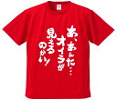 おもしろTシャツ みかん箱 【あ、あんた…オイラが見えるのかい!】 ドライ生地 ポリエステル 文字Tシャツ プレゼント ふざけtシャツ 格言 名言 語録