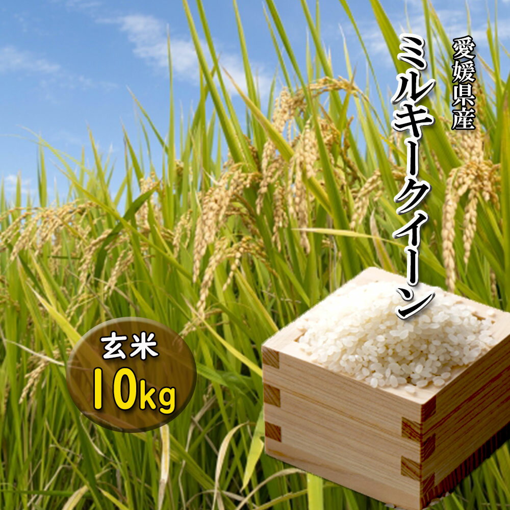 ミルキークイーン 愛媛県産 新米 2023年 玄米 精米可 約10kg 送料無料