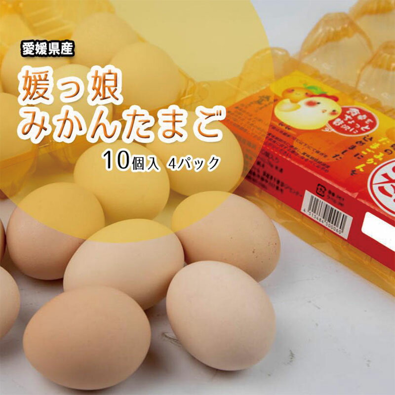 たまご 媛っ娘みかんたまご 愛媛県 みかんたまご 鶏卵 まとめ買い 10個入 4パック