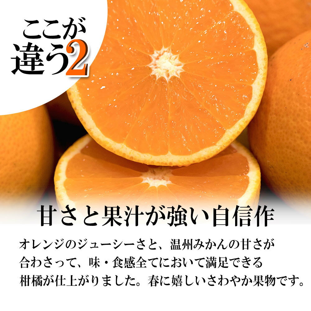 �������󥴡��� ������ ���� ��������� �����ߤ��� �ߤ��� ��2kg����¿�� ����̵��