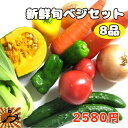 野菜セット ベジタブル お楽しみ 野菜 お試し版 8品 送料無料 みかん横丁 契約農家の美味しい野菜 減農薬 新鮮 旬ベジセット