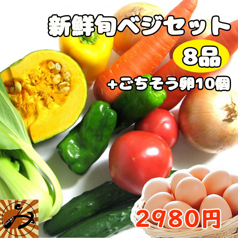 野菜セット 野菜 8品 + 卵 10個 送料無料 みかん横丁 契約農家の美味しい野菜 減農薬 新鮮 旬ベジセット