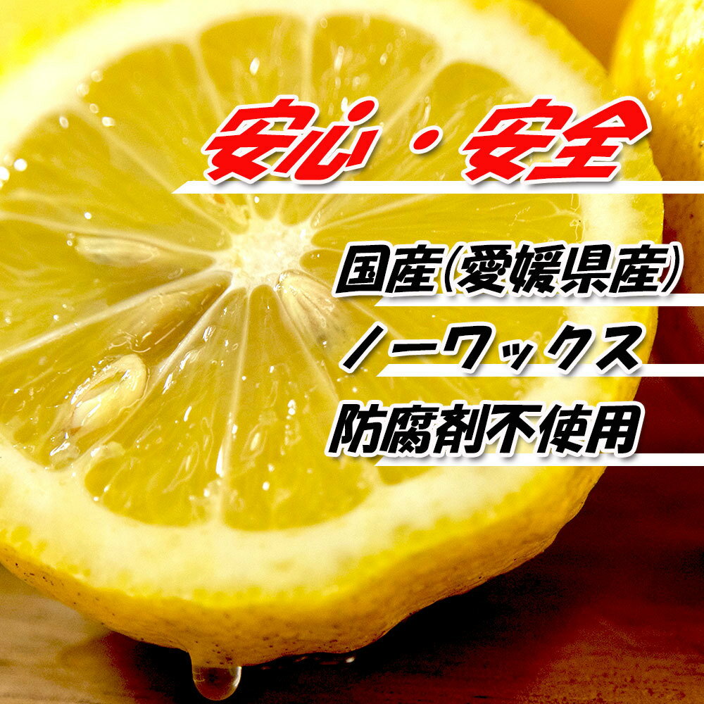レモン 訳あり 愛媛県産 防腐剤不使用 ノーワックス 不揃い 約 5kg 新物 2025年 グ...