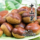 中山栗 愛媛県産 日本一の栗 大粒 甘くてホクホクです M~L 約5kg 送料無料 冷蔵便