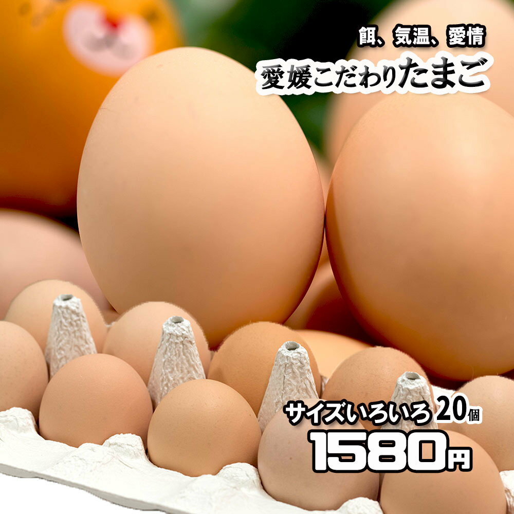 たまご 愛媛県産 卵 鶏卵 濃厚 こだわり製法 20個 サイズ不揃い 送料無料 1