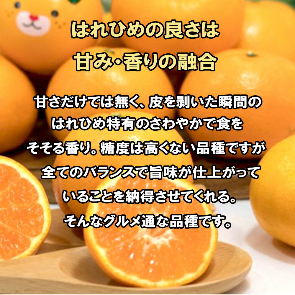 �Ϥ�Ҥ� ������ Ȣ�㤤 �ߤ��� �������� ���� S M L 2L 3L 2kg ����̵��