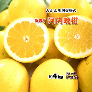 河内晩柑 訳あり 愛媛県産 和製グレープフルーツ ジューシーオレンジ M-3L 4kg 送料無料
