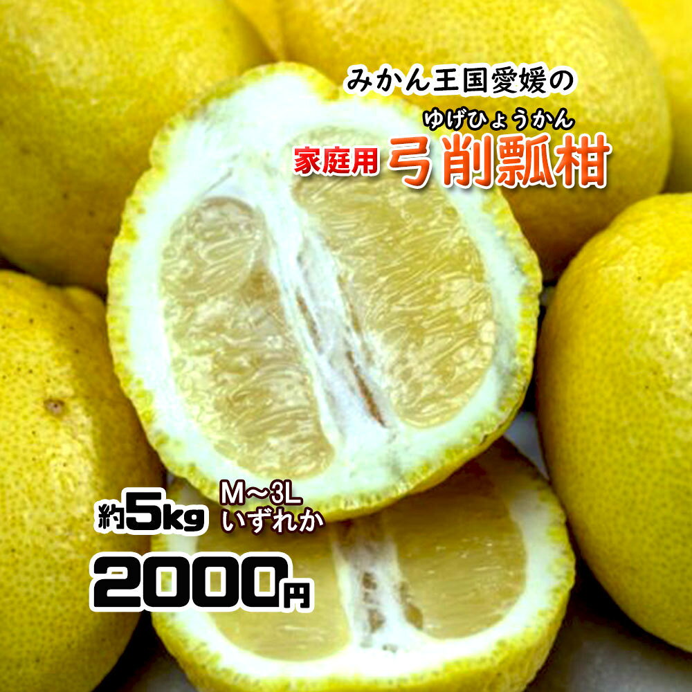 弓削瓢柑 ゆげひょうかん 家庭用 愛媛県産 希少品種 M〜3L 約5kg 送料無料
