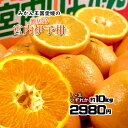 伊予柑 箱買い いよかん ご家庭用 宮内...
