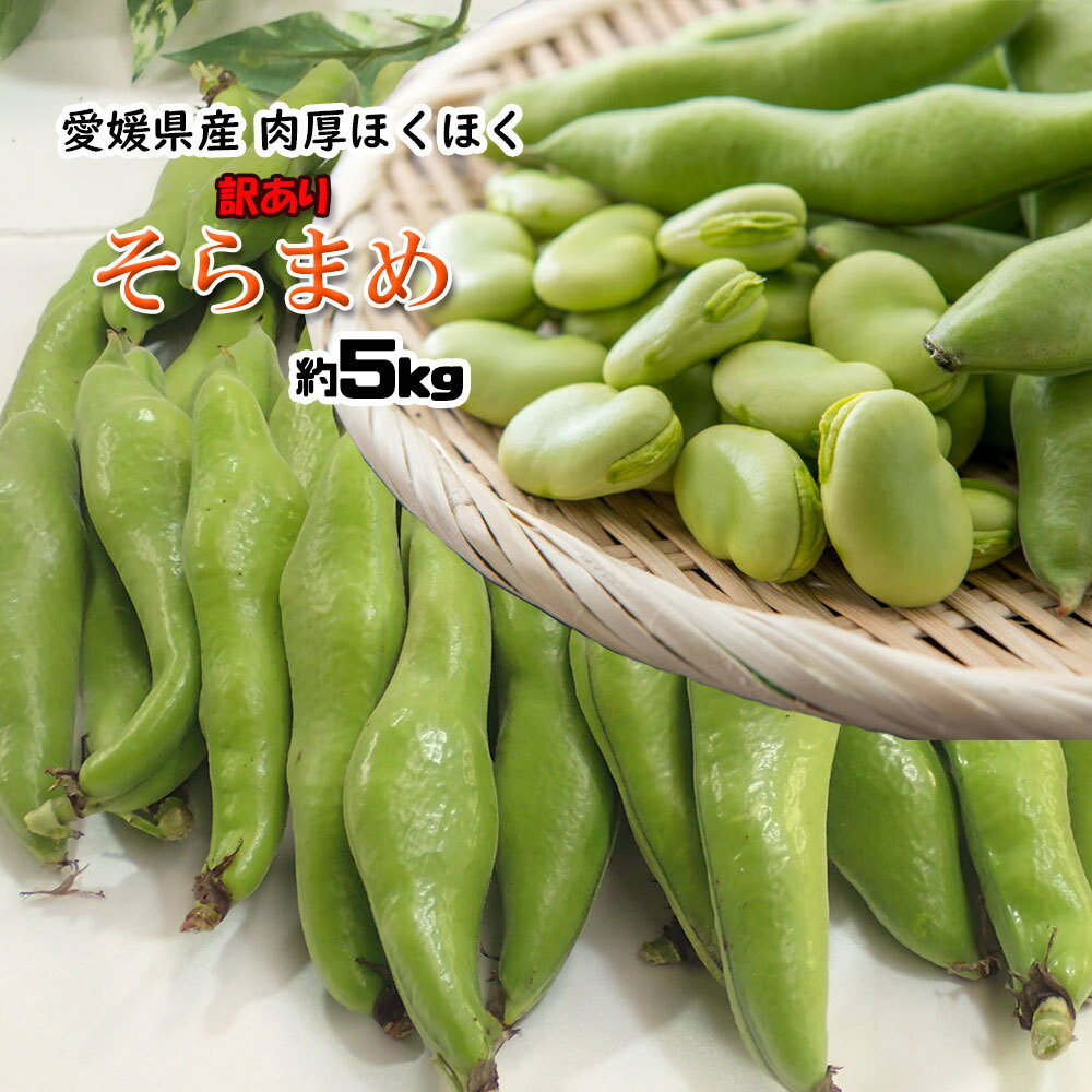 【ふるさと納税】ムクナ豆（八升豆）生豆1kg 〔D-47〕