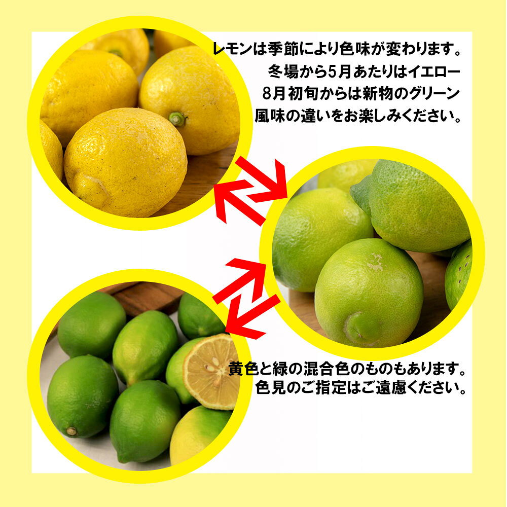 レモン 訳あり 愛媛県産 防腐剤不使用 ノーワックス 不揃い 約 5kg 新物 2025年 グ...