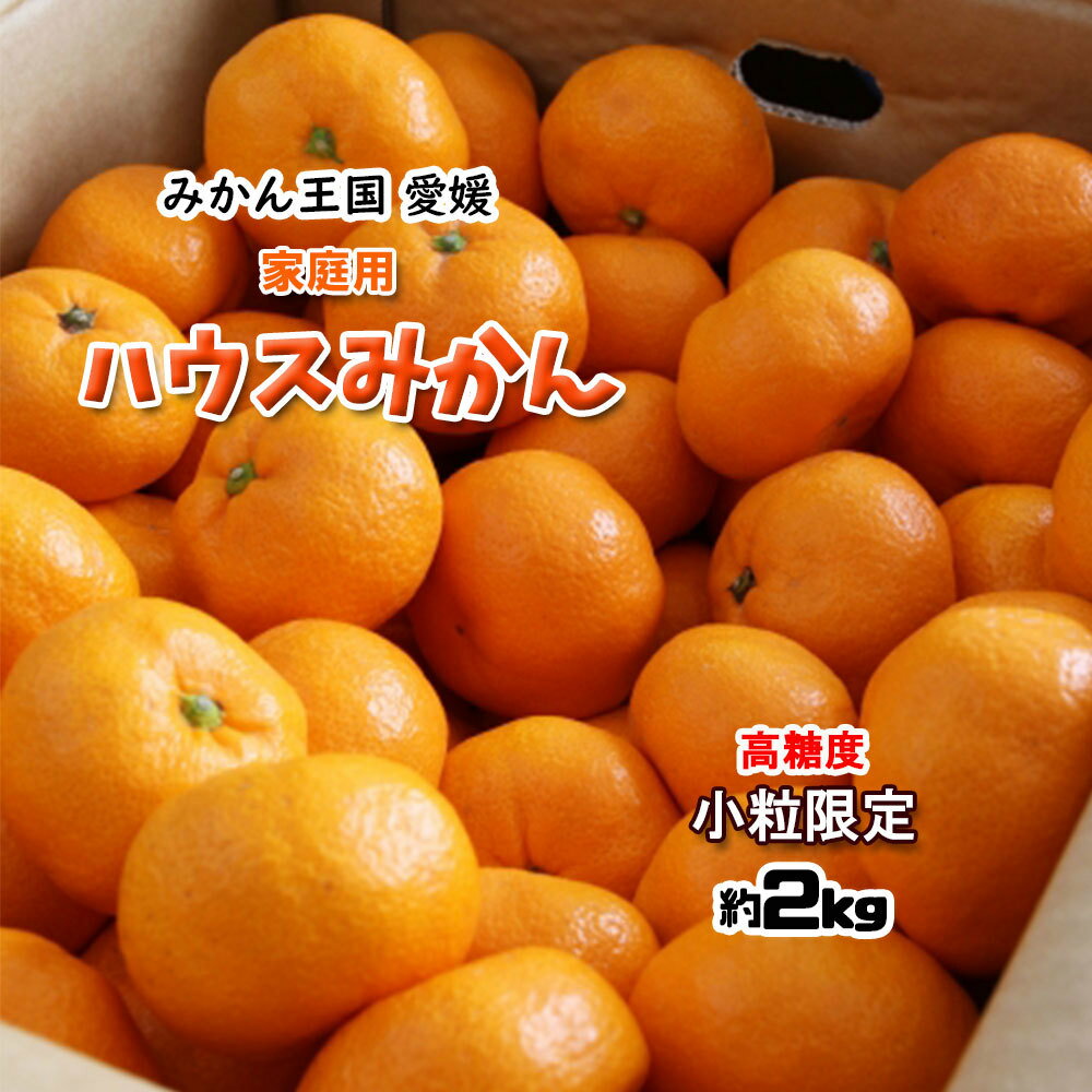ハウスみかん 超小玉 高糖度ハウスみかん プチみかん 温州みかん 愛媛県産 みかん 送料無料 約2kg ご家庭用のサムネイル