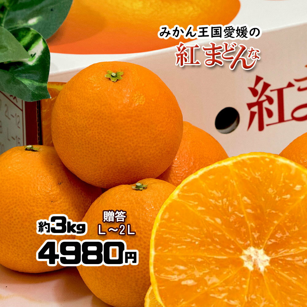 紅まどんな 贈答 みかん べにまどんな L～2L 約3kg 化粧箱入 送料無料