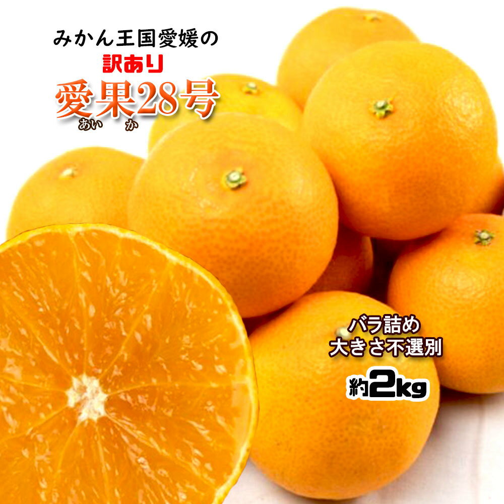 愛果28号 紅まどんな 訳あり みかん 箱買い サイズ不揃い 約2kg...(4)