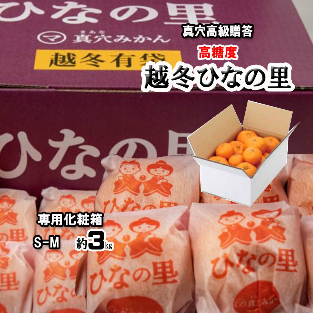 Rakuten - みかん 越冬ひなの里 真穴みかん 特選贈答 高級真穴 高糖度みかん 真穴 ひなの里 S M いずれか 約3kg 送料無料