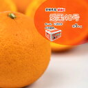 愛果48号 みかん 箱買い 訳あり 愛媛県産 約5kg 紅プリンセス 同等品 紅まどんな 甘平 傷 変形あり