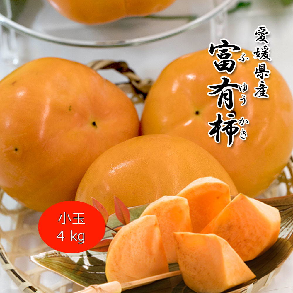 柿 かき 富有柿 ふゆかき 小玉 約4kg 愛媛県産 ご家庭用 送料無料