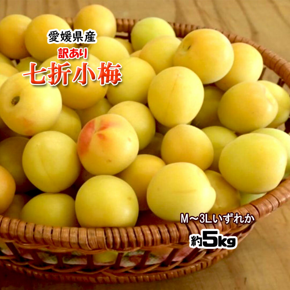 即納 七折小梅 訳あり うめ 梅 梅干し用 七折 小梅 約5kg 送料無料 指定不可のサムネイル