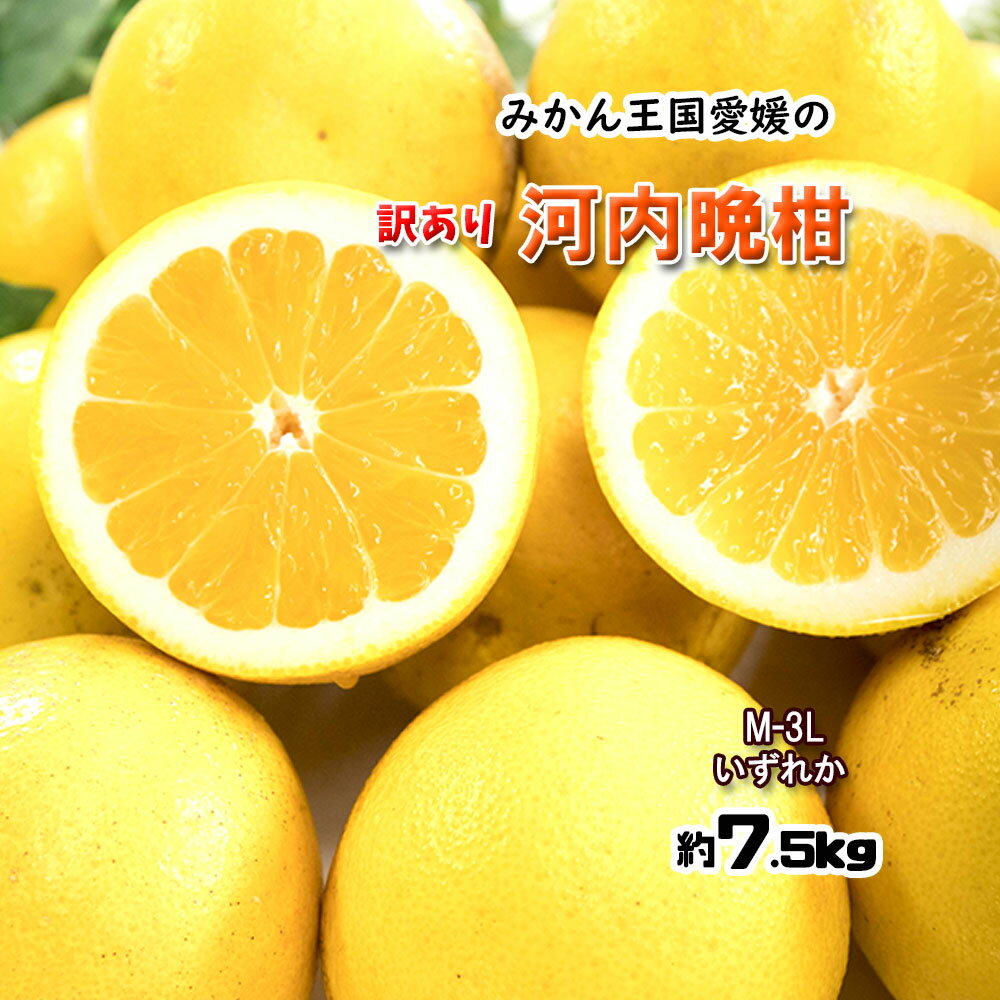 河内晩柑 訳あり 愛媛県産 和製グレープフルーツ ジューシーオレンジ 不揃い サイズ混合 7.5kg 送料無料