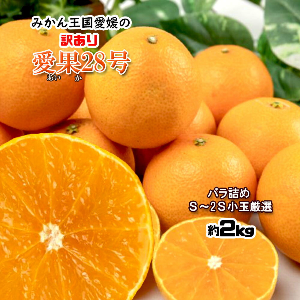 28 Ȥޤɤ   ߤ Ȣ㤤 Lʲ 2kg ̵