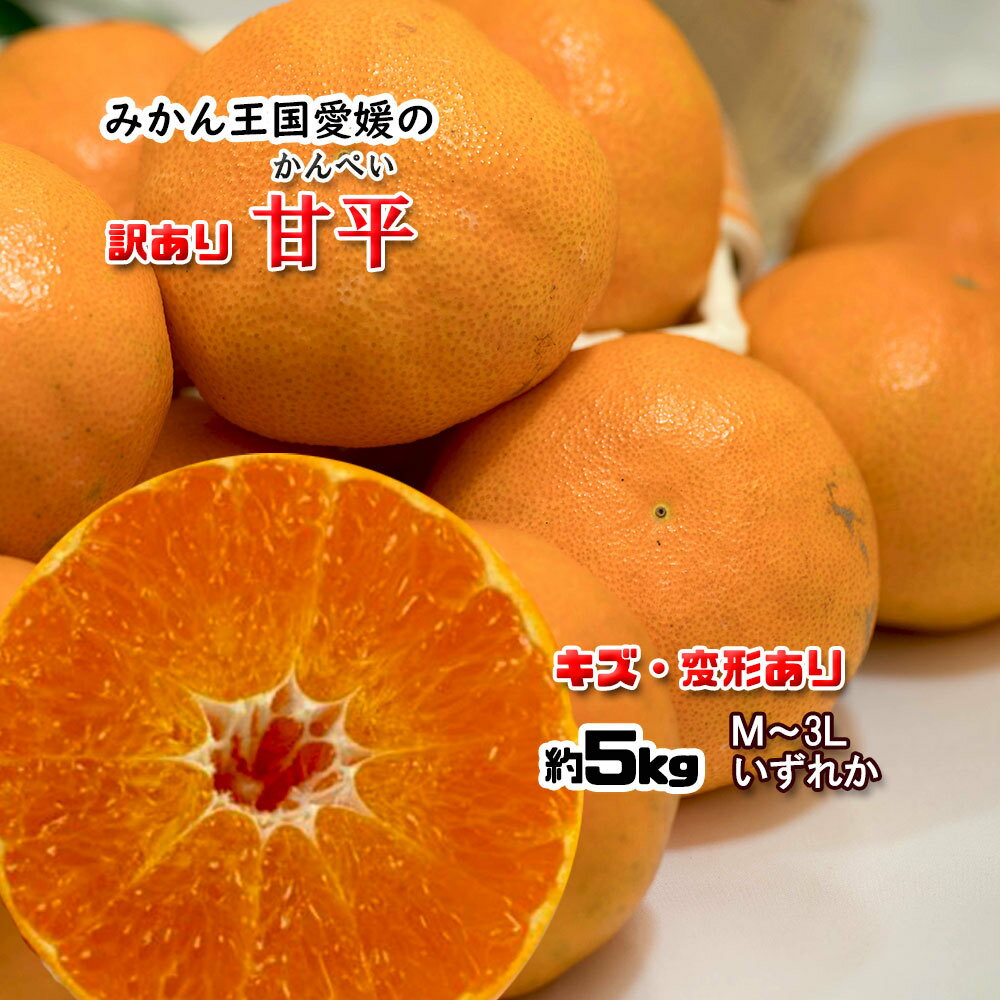 甘平 箱買い 訳あり かんぺい 幻の柑橘 キズあり 愛媛県産 サイズ不揃い 混合 5kg 送料無料
